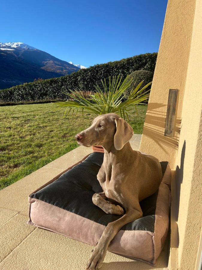 Design & Mountain View Bedroom Aosta Exterior photo